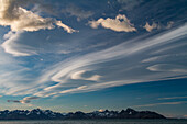 Interesting lenticular cloud formations forming over the island of South Georgia in the Southern Ocean