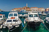 Blick über den Hafen auf die Altstadt mit der Kathedrale der Hl. Euphemia, Rovinj, Istrien, Kroatien