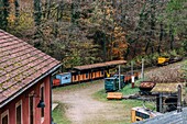 Das Eisenerzbergwerk Cockerill d'Esch-sur-Alzette spielte eine wichtige Rolle im wirtschaftlichen Aufschwung von den 1870er bis zu den 1990er Jahren, Luxemburg