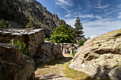 Mountain scenery, Island of Corsica, France