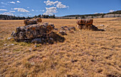 Einsame Felsbrocken und freiliegendes Gestein im Pleasant Valley, Kaibab National Forest nördlich des Grand Canyon North Rim, Arizona, Vereinigte Staaten von Amerika