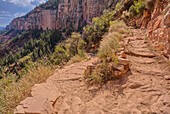 Die 12. Serpentine auf dem North Kaibab Trail am Grand Canyon North Rim, UNESCO, Arizona, Vereinigte Staaten von Amerika