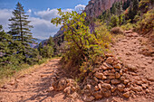 Die 20. Serpentine entlang des North Kaibab Trail am Grand Canyon North Rim, UNESCO, Arizona, Vereinigte Staaten von Amerika