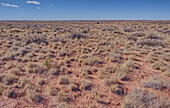 The grassland prairie near Dead Wash in Petrified Forest, Arizona, United States of America