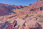 An unnamed canyon that leads to Dead Wash in Petrified Forest National Park, Arizona, United States of America