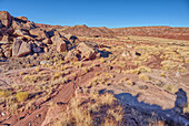 Boulder pile in a valley leading to Dead Wash in Petrified Forest National Park, Arizona, United States of America