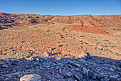 Dead Wash Valley in Petrified Forest National Park, Arizona, United States of America