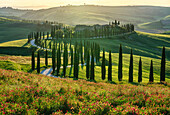 Abendlicht über Podere Baccoleno, Crete Senesi, Toskana, Italien