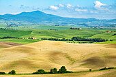 Rolling hills of Val d'Orcia, UNESCO, Tuscany, Italy