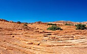 Versteinerte Sanddünen, White Canyon State Park, Red Cliffs Desert Reserve bei St. George, Utah, Vereinigte Staaten von Amerika