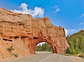 Red Canyon Arch, über dem Utah State Highway 12 Scenic Byway zwischen Panguitch und Bryce Canyon City, Utah, Vereinigte Staaten von Amerika