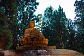 Seated Buddha statue in deep forest of Koyasan at dusk, Buddhist cemetery of Oku-no-in, Koyasan (Koya-san), Kansai, Honshu, Japan