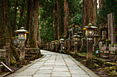 Alley of stone lanterns in forest, Buddhist cemetery of Oku-no-in, Koyasan (Koya-san), Kansai, Honshu, Japan