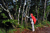 Hiker on ancient path used by villagers to cross the island North to South, on the heights of Santana, Madeira island, Atlantic Ocean, Portugal