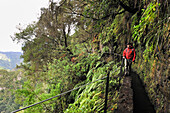 Hiker on path along levada (aqueduct) of Green Cauldron (Caldeirao Verde), Madeira island, Atlantic Ocean, Portugal