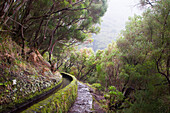 Rabacal levada walk towards the 25 Fountains cirque, Madeira island, Atlantic Ocean, Portugal