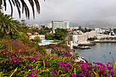 Reid's Palace Hotel, Funchal, Insel Madeira, Atlantischer Ozean, Portugal