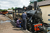 Llanfair Light Railway, Llanfair Caereinion, Welshpool, Powys, Wales, Vereinigtes Königreich