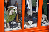 Front window of Knitwear shop Galway Woollen Market, High Street, Galway, Connemara, County Galway, Connacht, Republic of Ireland