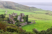 Clifden Castle in the rain, ruined manor house near Clifden, Connemara, County Galway, Connacht, Republic of Ireland