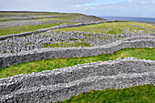 Defensive stone walls of Dun Aengus, prehistoric hill fort, Inishmore, largest Aran Island, Galway Bay, County Galway, Connacht, Republic of Ireland