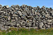 Dry stone walls, Inishmore, largest of the Aran Islands, Galway Bay, County Galway, Connacht, Republic of Ireland