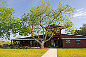 Pekannussbaum vor der Amelia Farm and Market, 8600 Dishman Road, Beaumont, Texas, Vereinigte Staaten von Amerika