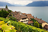 Medieval village of Saint-Saphorin in middle of Vineyard terraces of Lavaux on the bank of Lake Leman, near Lausanne, Canton of Vaud, Switzerland