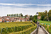 Village of Cully surrounded by vineyard terraces of Lavaux on the bank of Lake Leman, around Lausanne, Canton of Vaud, Switzerland