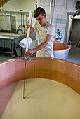 Cheese factory, cattle farm of Pian Segno, Blenio valley, Canton Ticino, Switzerland