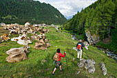 Brune Suisse cows, cattle farm Pian Segno, Blenio vallee, Canton Ticino, Switzerland