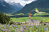 Wildblumen vor der Kirche St. Maria, kleines Dorf Santa Maria, bei Toblach, Pustertal, Südtirol (Alto Adige), Italien