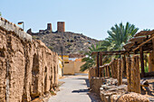 Al Mudhaireb Village, Al Sharqiyah region, Sultanate of Oman, Arabian Peninsula