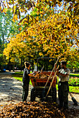 Gärtner, Jardin du Luxembourg, Paris, Frankreich