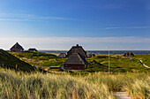 Traditionelle Reetdachhäuser, Hornum, Sylt, Schleswig Holstein, Deutschland, Europa