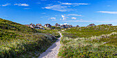 Pfad durch Heidekraut, Rantum, Sylt, Schleswig Holstein, Deutschland, Europa