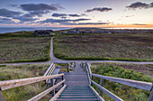 Walkway down to heather and sand dunes at dawn, Kampen, Sylt, Schleswig Holstein, Germany, Europe