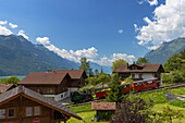 Brienz Rothorn train passing traditional chalets, Brienz, Bernese Oberland, Switzerland