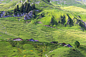 Mountain cabins on Brienzer Rothorn mountain, Brienz, Bernese Oberland, Switzerland