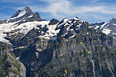 Gleitschirmflieger am First mit Schreckhorn im Hintergrund, Jungfrau Region, Berner Oberland, Schweiz