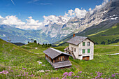 Kleine Scheidigg, Jungfrau Region, Bernese Oberland, Switzerland