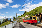 Train of cogwheel railway at Schynige Platte, Jungfrau Region, Bernese Oberland, Switzerland