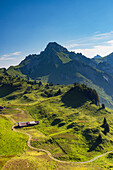 Schynige Platte, Jungfrau Region, Berner Oberland, Schweiz