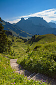 Wanderweg auf der Schynige Platte, Jungfrau Region, Berner Oberland, Schweiz