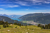 Blick auf Interlaken und den Thunersee, Kanton Bern, Schweiz