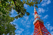 Blick auf den Tokio-Turm von seiner Basis aus gegen den blauen Himmel, Shibakoen, Minato City, Tokio, Honshu, Japan