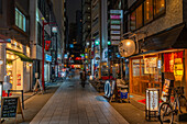 View of colourful restaurants in street scene in Asakusa at night, Asakusa, Taito City, Tokyo, Honshu, Japan