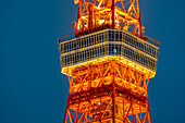 View of Tokyo Tower at night, Minato City, Tokyo, Honshu, Japan