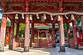 View of the Ozaki Shrine on a sunny day, Kanazawa City, Ishikawa Prefecture, Honshu, Japan