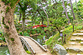 View of red footbridge over Takueichi Pond in Shukkeien Garden, Kaminoboricho, Naka Ward, Hiroshima, Honshu, Japan